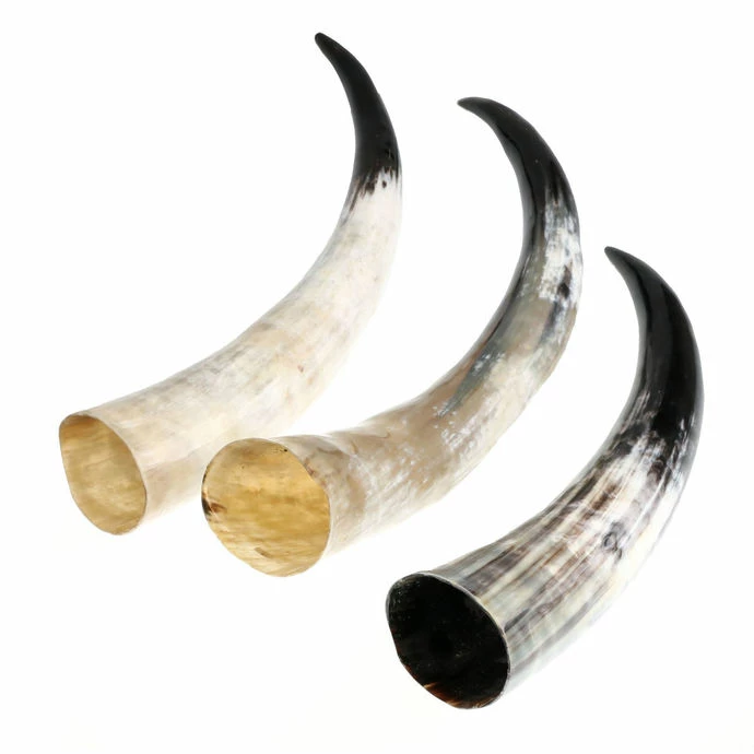 Drinking Horn MEDIEVAL - Volume 1L - Image 2